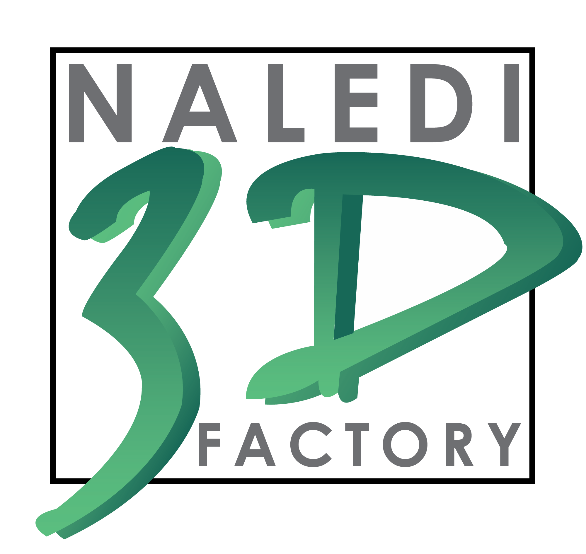 Naledi3D