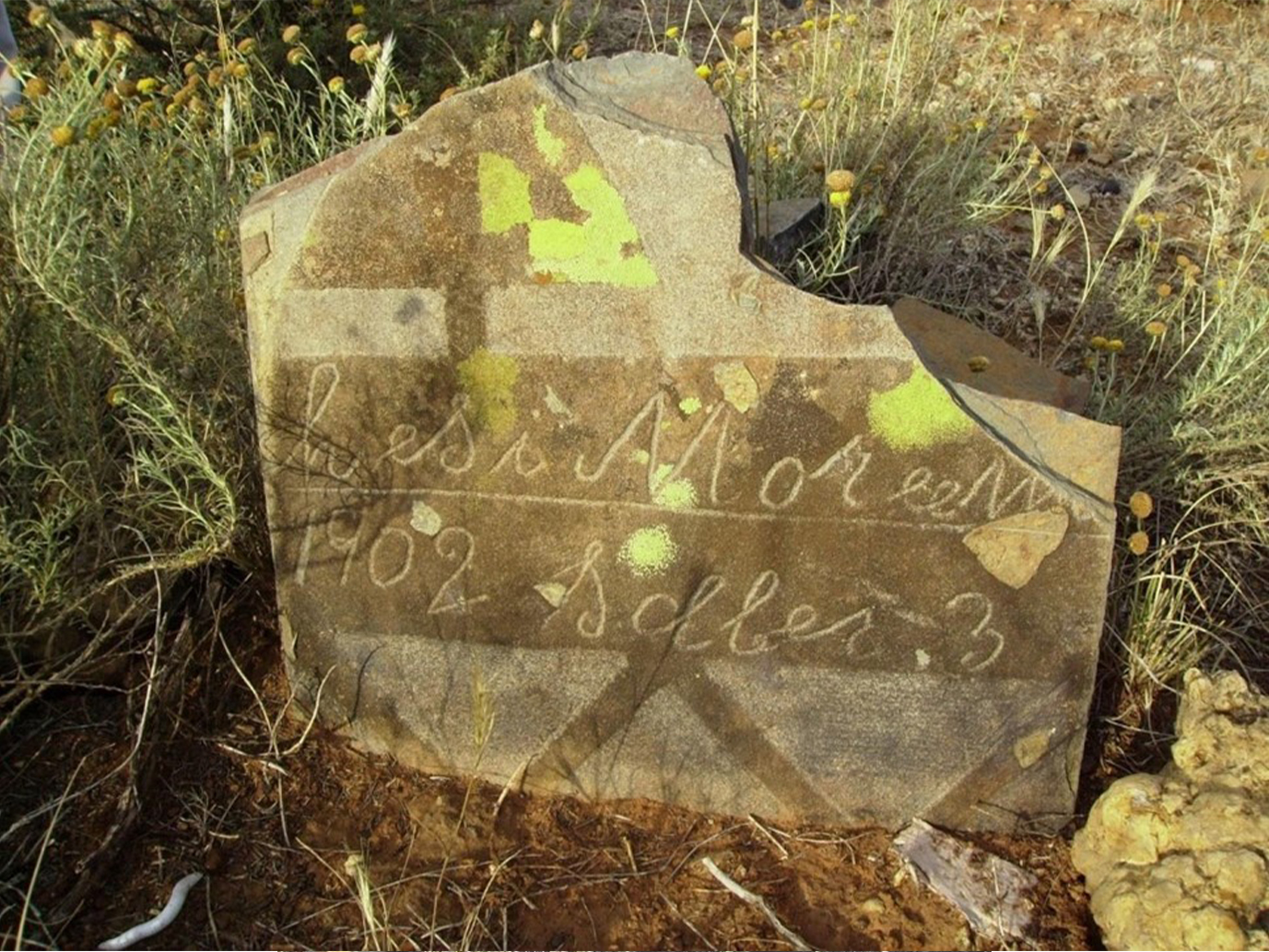 DGS-2